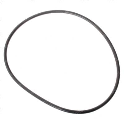 Picture of O-Ring