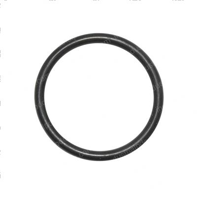 Picture of O-Ring