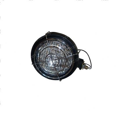 Picture of Light - 36 Volt With Guard