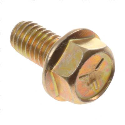 Picture of Bolt