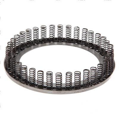 Picture of Spring Sub-Assembly