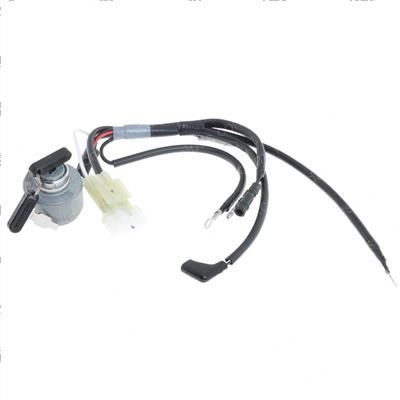 Picture of Switch Assy. (18a)