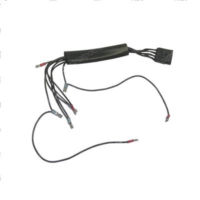Picture of Harness