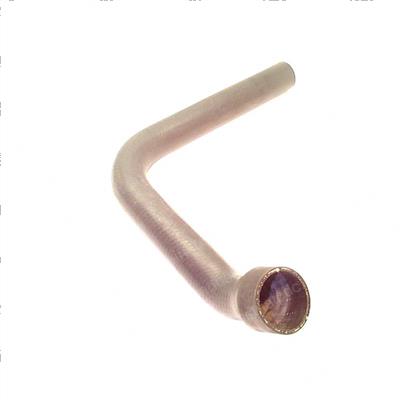 Picture of Hose - Flexible