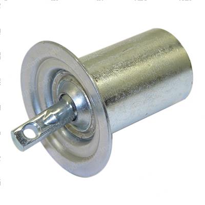 Picture of Plunger