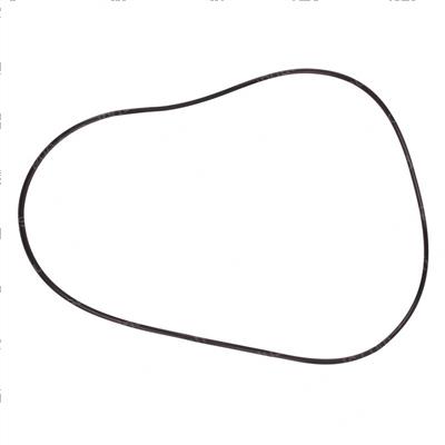 Picture of O-Ring