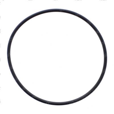 Picture of Sealo Ring - Fuel Filter