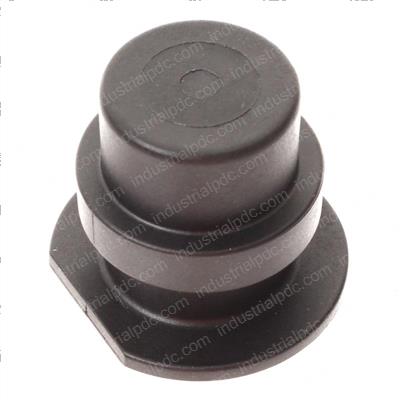 Picture of Plug