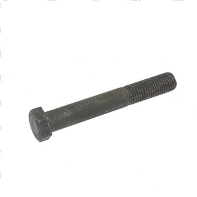 Picture of Bolt