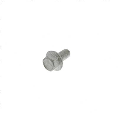 Picture of Bolt