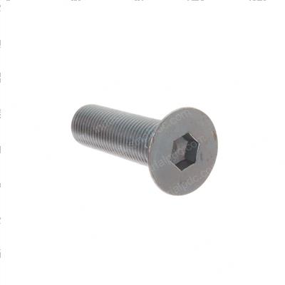 Picture of Capscrew - Flat Socket Hd