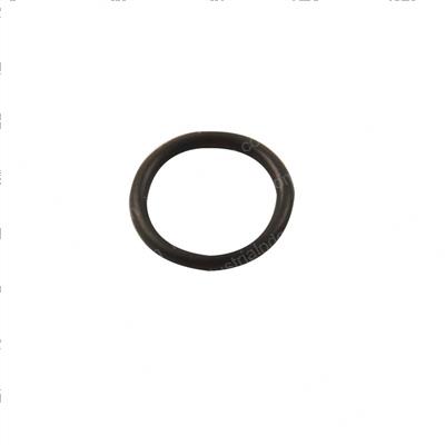 Picture of O-Ring