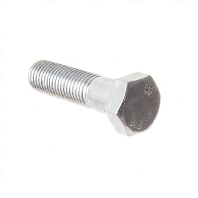 Picture of Bolt