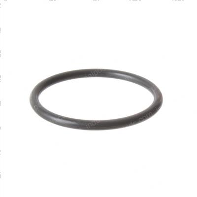 Picture of O-Ring