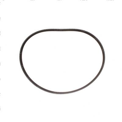 Picture of Belt V