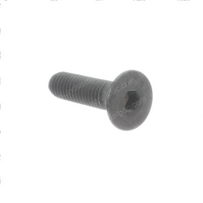 Picture of Screw