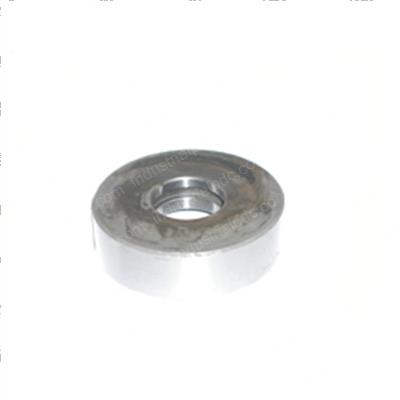 Picture of Roller - Mast Housing