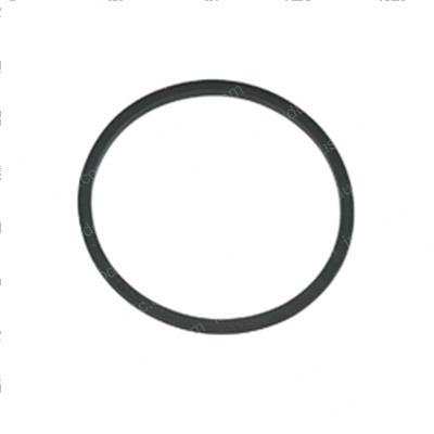 Picture of Seal