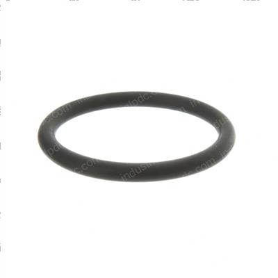 Picture of O-Ring