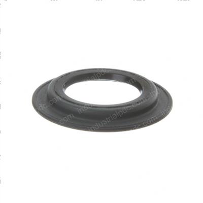Picture of Seal