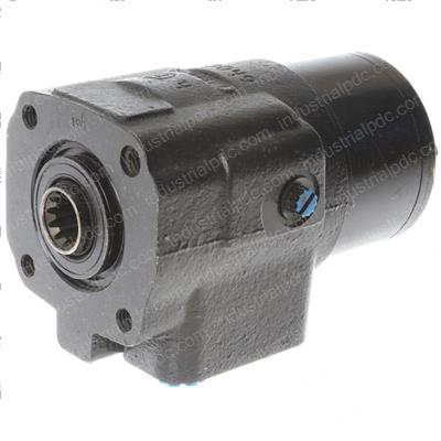 Picture of Steer Head