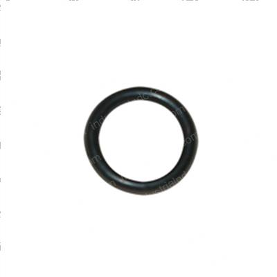 Picture of O-Ring
