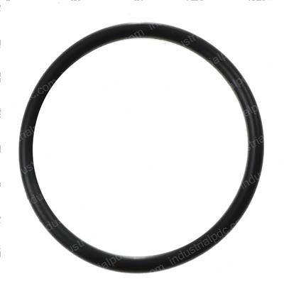 Picture of O-Ring