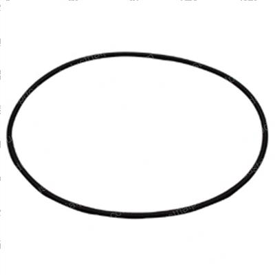 Picture of O-Ring