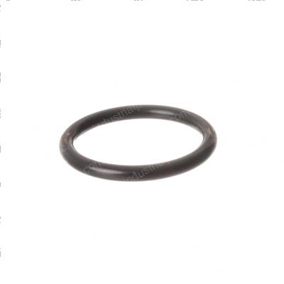 Picture of O-Ring