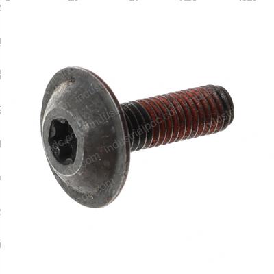 Picture of Bolt