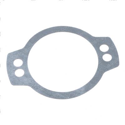 Picture of Gasket