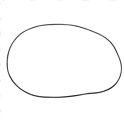 Picture of Gasket