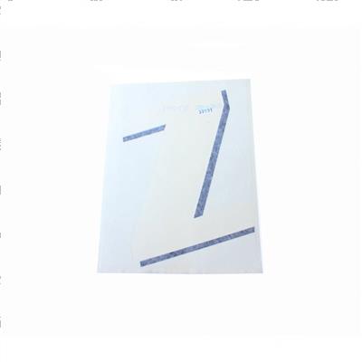 Picture of Decal Z White/Gray 9x7