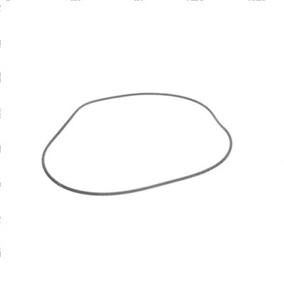 Picture of O-Ring