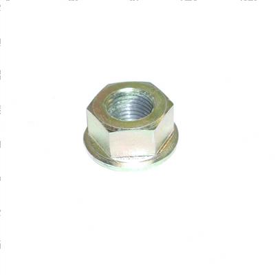 Picture of Nut - Special