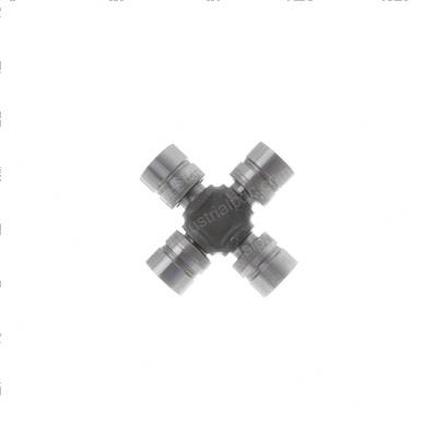 Picture of Spider
