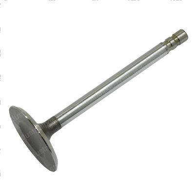 Picture of Valve-Inl .015