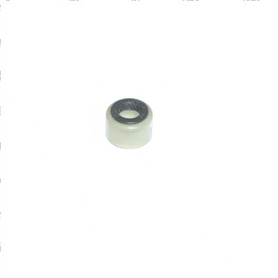 Picture of Seal