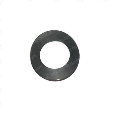 Picture of Washer-Spring