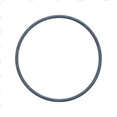 Picture of O-Ring