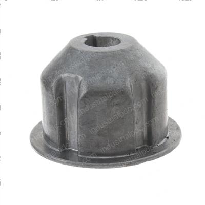 Picture of Plug Drive Brush - Mach