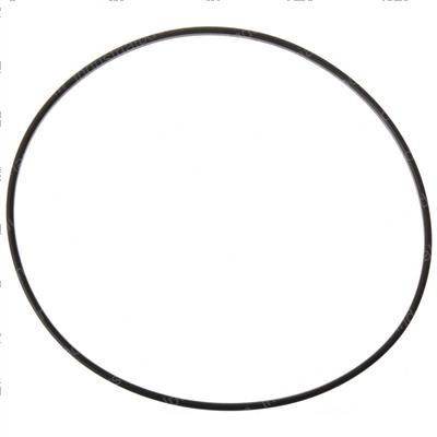 Picture of O-Ring