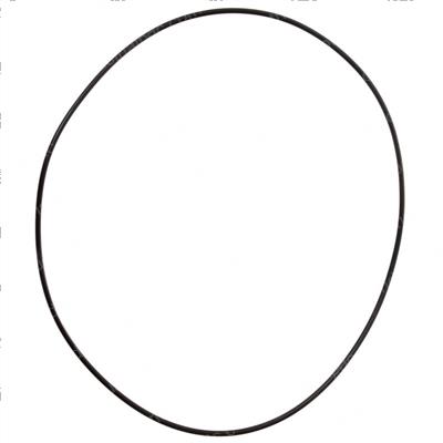 Picture of O-Ring