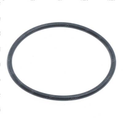 Picture of O-Ring
