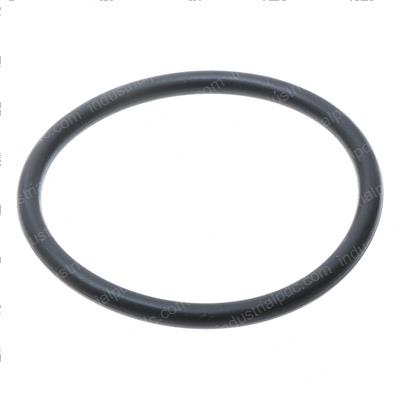 Picture of O-Ring