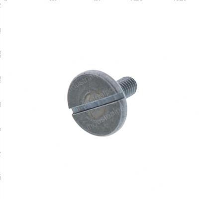 Picture of Screw