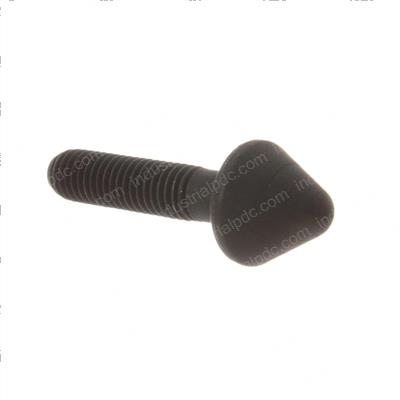Picture of Bolt