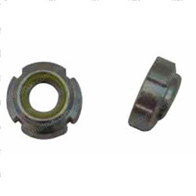 Picture of Nut