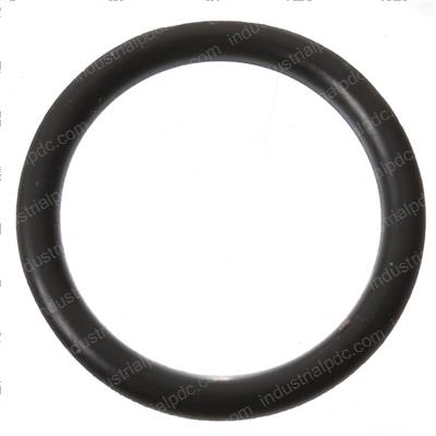 Picture of O-Ring