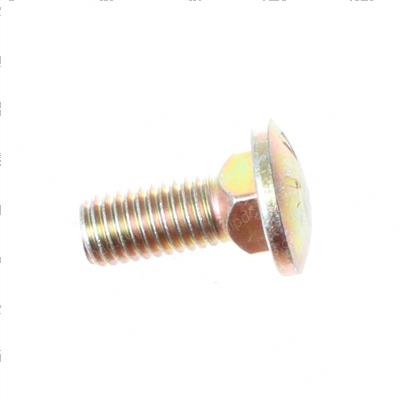 Picture of Bolt